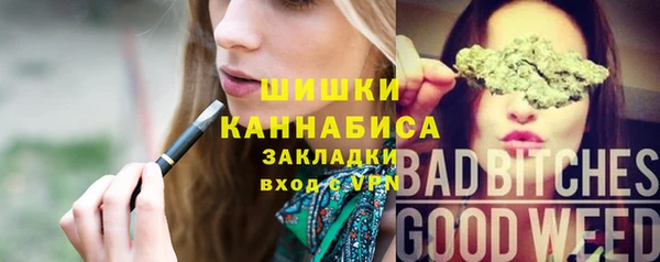 индика Арсеньев
