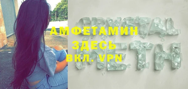 индика Арсеньев