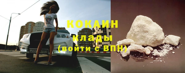 индика Арсеньев