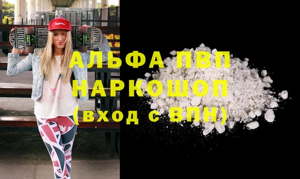 индика Арсеньев
