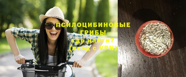 не бодяженный Михайлов