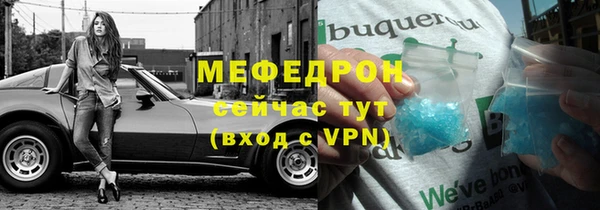 индика Арсеньев