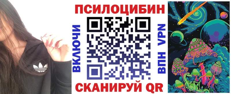 Псилоцибиновые грибы GOLDEN TEACHER  Болотное 